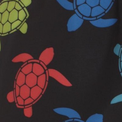 black - bright turtles