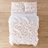 Pippa Quilt and Pillow Sham Set - Levtex Home - 4 of 4