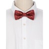 Allegra K Men's Pre-Tied Adjustable Polka Dots Tuxedo Work Party Prom Bow Ties - 2 of 4