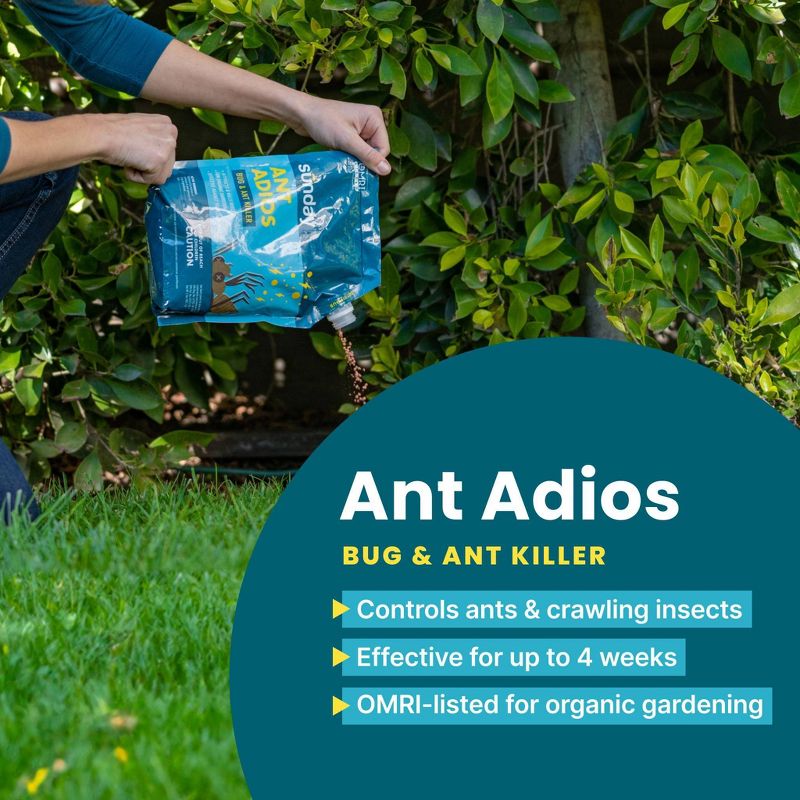 Sunday 2lbs Ant Insect and Ant Killer, 5 of 10