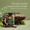 Gaia Herbs Astragalus Supreme - Immune & Antioxidant Support* - Herbal Supplement with Astragalus Root- 60 Vegan Liquid Phyto-Capsules (15-Day Supply) - 3 of 4