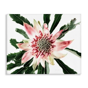 Stupell Industries Close Up Flower Anther Photograph Canvas Art, 20" x 16" - 1 of 4