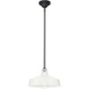 Progress Lighting, Cedar Springs, 1-Light Outdoor Hanging Light, White Finish, Warehouse Shade - 4 of 4