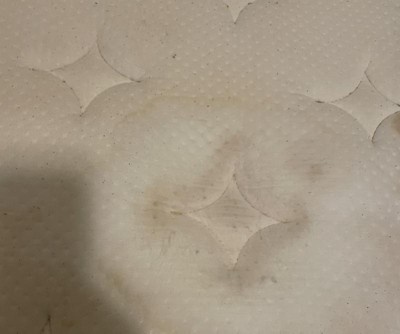 Guest review image 4 of 4, zoom in