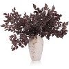 4 Pcs Artificial Cimicifuga Leaf Spray, 23 in Faux Burgundy Fall Greenery Branch with Long Stems for Decor Chocolate 23 in - 3 of 4