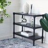 Rafiki 3 Shelf Console - Safavieh - image 2 of 4