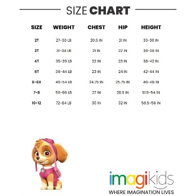 Nickelodeon PAW Patrol Skye Chase Marshall Little Boys Pullover Rash Guard and Swim Trunks Outfit Set Team Paw 7 — фото 8