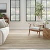 Nourison Jubilant Contemporary Stripes Area Rug - 4 of 4