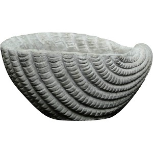 Classic Home and Garden Indoor/Outdoor Cement Succulent Planter with Drainage Hole, Sea Shell, Gray, 5" - 1 of 4