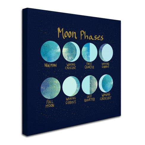 Trademark Fine Art -lisa Powell Braun 'moon Phases' Canvas Art : Target