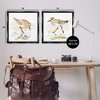 Stupell Industries Sea Birds on Shore, 25" x 25" - 3 of 4