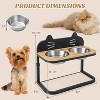 Chery Life 2 Pet Bowls with Stainless SteelElevated Stand, for Cats and Small and Medium Dogs - 3 of 4