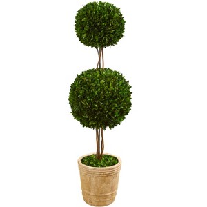 Nearly Natural 4-ft Preserved Boxwood Double Ball Topiary Tree in Planter - 1 of 3