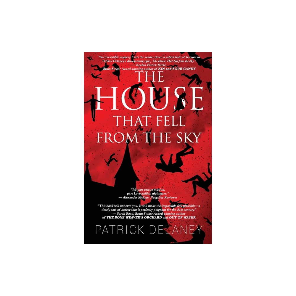 The House that fell from the Sky - by Patrick Delaney (Paperback)