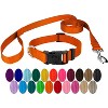 Country Brook Petz Deluxe Nylon Dog Collar and Leash - 2 of 4