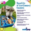 Waiting Dogs Design eTray Enrichment Tray for Dogs - image 2 of 4