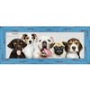 PosterPalooza | Panoramic Shabby Chic Blue Picture Frame - UV Acrylic, Foam Board Backing, Hanging Hardware - 4 of 4
