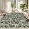 Acekool Modern Area Rug, Washable Low Pile Non Slip Soft Foldable Carpet Mat for Living Room Bedroom Office, Easy Care - 2 of 3