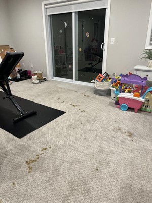 Guest review image 4 of 4, zoom in