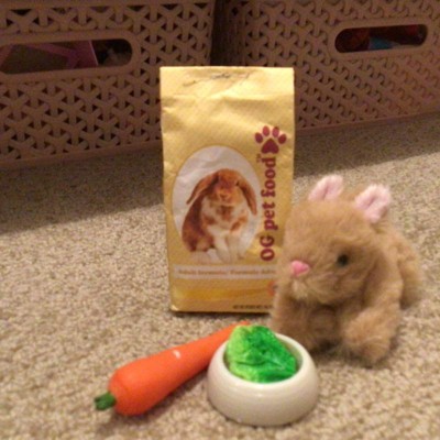 Our generation deals pet bunny set