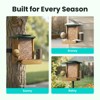 Birdfy Cedar D Smart Bird Feeder - Fun & Educational 1080P Birdwatching, AI Recognition, 60FPS Slow-Motion, Solar-Powered - 4 of 4