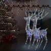 vidaXL XXL Acrylic Christmas Reindeer with 250 LED Lights - Indoor/Outdoor Decorations, Weather Resistant, Energy Saving, Multicolored, 70.9" - 2 of 4