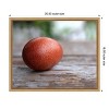 Amanti Art Egg on Wood by Tania Soderman Framed Canvas Wall Art - 4 of 4