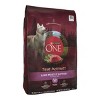 Purina ONE True Instinct Lean Muscle with Real Beef Dry Dog Food - 27.5lbs - 4 of 4
