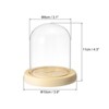Unique Bargains Wooden Base Plants Home Decor Glass Bell Jar Display Case - 2 of 4