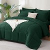BAGOKIE Comforter Set 5/7 Pieces Bed in a Bag Set for All Season - 3 of 4