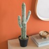 DSVIMOY Artificial Saguaro Cactus in Black Pot, Faux Cacti Plants for Home Garden Office Store Decoration, Green, 8"*5"*24.5" - 3 of 4