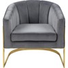 Carter 18.5"H Velvet Accent Chair in Gray and Gold-Meridian Furniture - 3 of 4