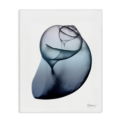 Stupell Industries Contemporary Snail Shell, 30" x 40"