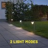 C Cattleya 2 Pack Versatile LED Solar Path Light 3000K/6000K - 3 of 4