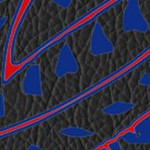 buffalo bills