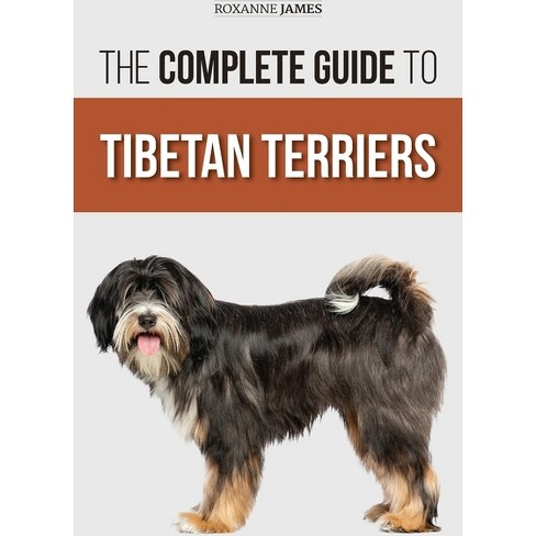 are tibetan terriers terries