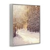Stupell Industries Snowy Winter Path Framed Giclee Art - 2 of 4