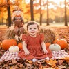2Bunnies Lace Pom Pom Trim Baby Girl Dress - 2 of 3