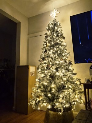 Guest review image 1 of 1, zoom in