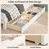 CSBDHome Solid Wood Twin Size Bed Framewith 2 Drawers, No Box Spring Needed - 4 of 4