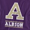 Men's Albion College Official Distressed Primary Logo T-Shirt Albion College - 2 of 4