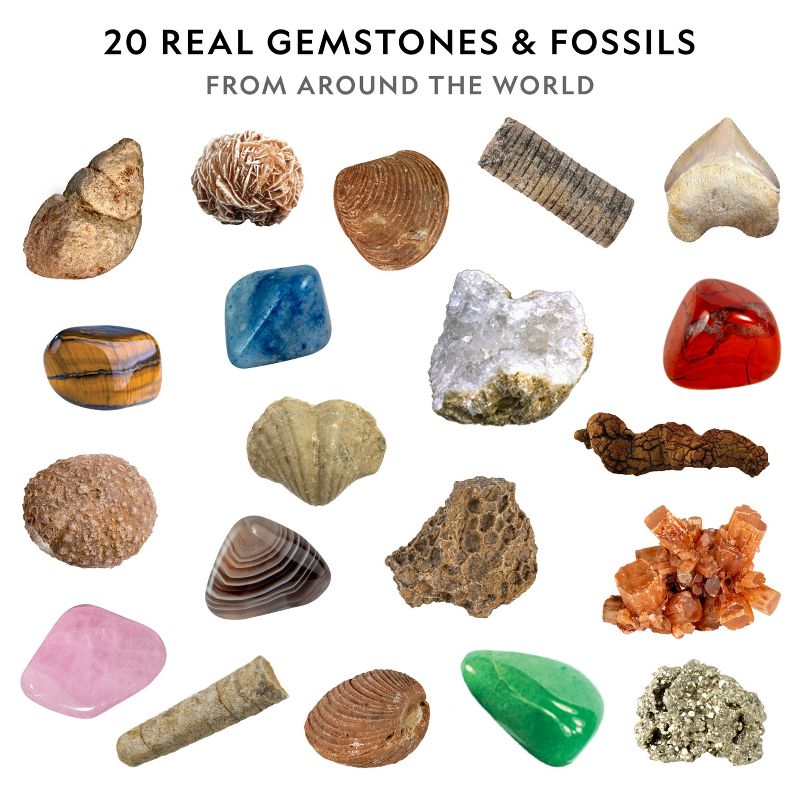 NATIONAL GEOGRAPHIC Mega Fossil & Gemstone Dig Kit, Excavate 10 Real Fossils & 10 Real Gems, STEM Science Gift for Mineralogy and Geology Enthusiasts, 4 of 10