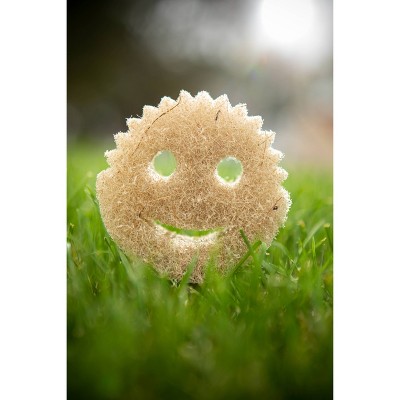 Scrub Daddy Coco Mesh Scrubber - 2ct