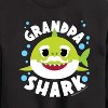 Boys' - Baby Shark - Grandpa Shark Graphic Long Sleeve Fleece Sweatshirt - 2 of 4