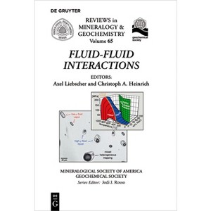 Fluid-Fluid Interactions - (Reviews in Mineralogy & Geochemistry) by  Axel Liebscher & Christoph A Heinrich (Paperback) - 1 of 1