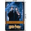 Trends International Harry Potter and the Philosopher's Stone - Ron & Hermione Unframed Wall Poster Prints - 3 of 4