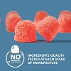 L-Arginine Gummies, Berry, Havasu Nutrition, 88ct - 4 of 4
