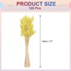 Unique Bargains Decorative Natural Dried Floral Bunny Tail Artificial Plants 120 Pcs - 2 of 4