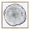 Kate and Laurel Sylvie Tree Rings Framed Canvas by Emiko and Mark Franzen of F2Images - 2 of 4