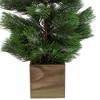 Northlight 3' Snowy Pine Artificial Christmas Tree in Wooden Pot - Unlit - 4 of 4